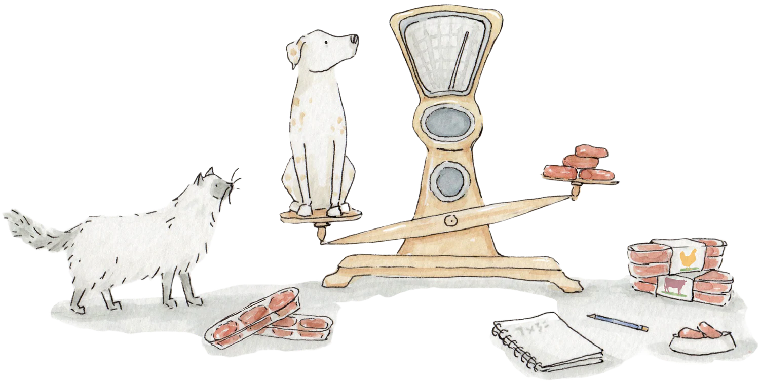 Raw Feeding Made Effortless