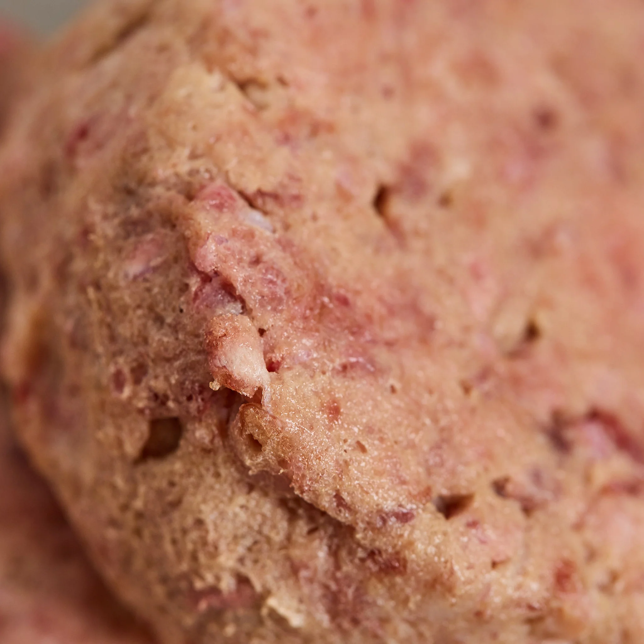 Kitten Power with Chicken Patties - Image 3