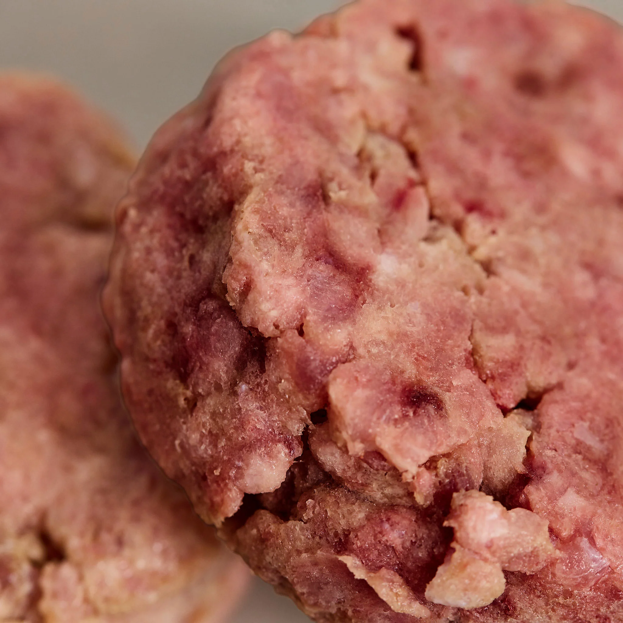 Seniors' Cat Club with Beef Patties - Image 3