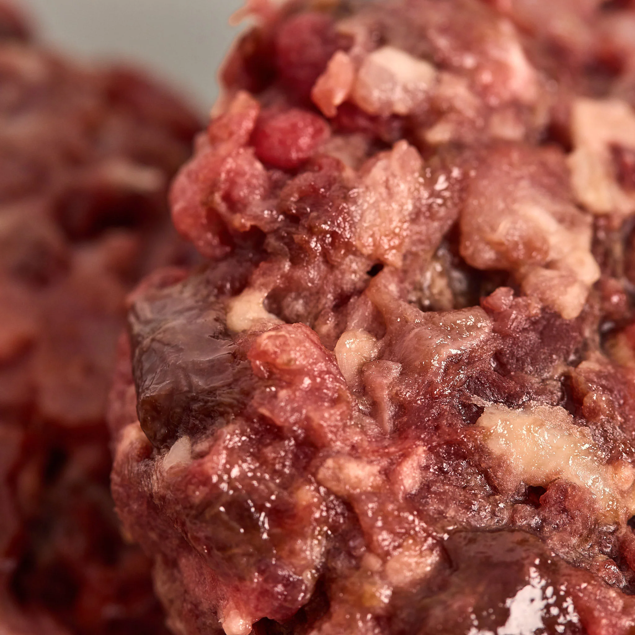 Seniors' Cat Club with Chicken Patties - Image 3