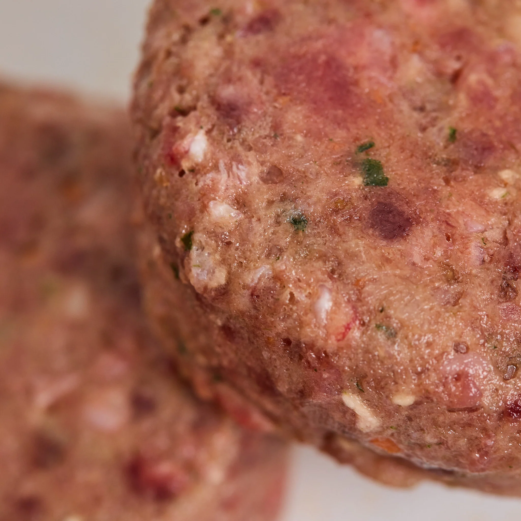 Seniors' Dog Club with Chicken Patties - Image 3